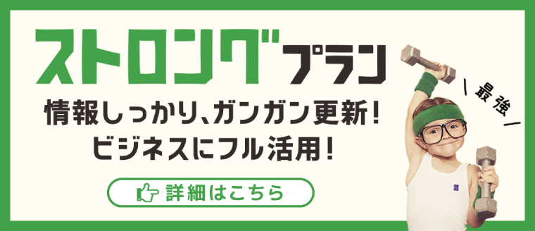 情報しっかり、ガンガン更新。ビジネスにフル活用。ストロングプラン：福島県郡山市アノマリーデザイン